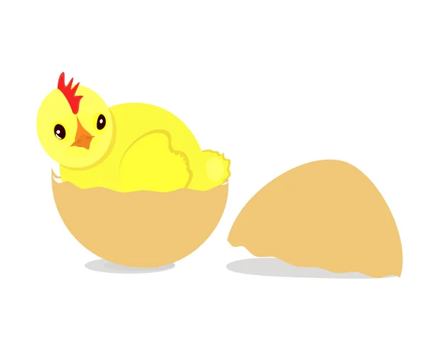 Chick in Eggshell — Stock Vector
