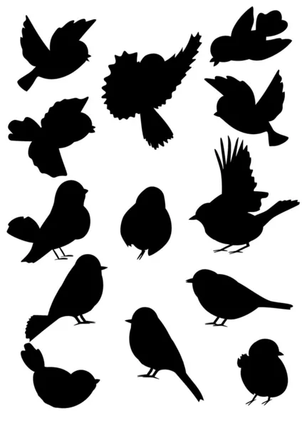 Fågel konturer samling — Stock vektor