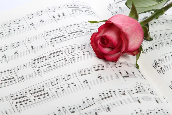 Pink rose op muziek van het blad — Stockfoto