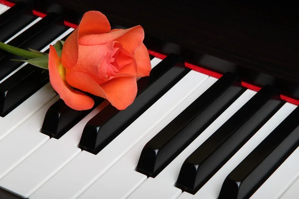Red flower on piano — Stock Photo, Image