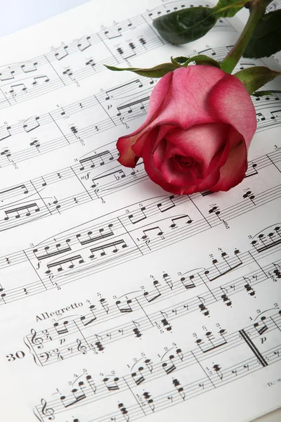 stock image Pink rose on sheet music