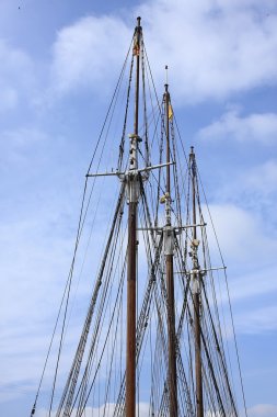 3 mast