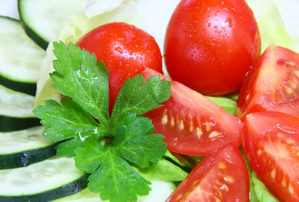 stock image Salad