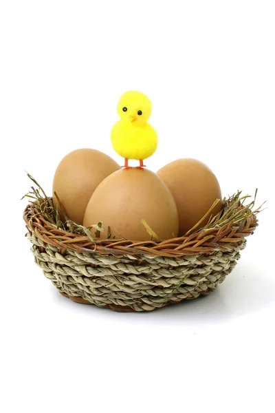 One easter chick — Stock Photo, Image