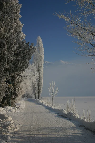 stock image Winter road