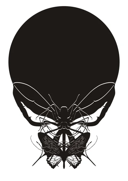Black skull — Stock Photo, Image