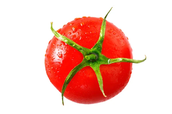 Nasse Tomate isoliert Stockbild