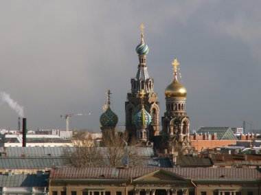 View of Saint-Petersburg clipart