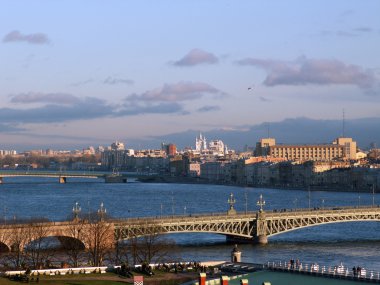 View of Saint-Petersburg clipart