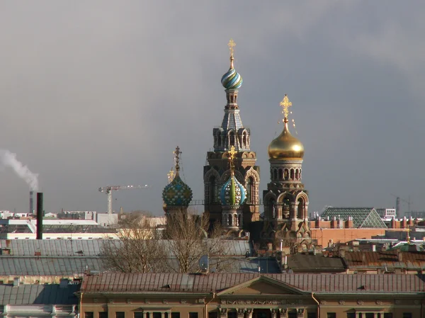 Saint-Petersburg görünümü - Stok İmaj