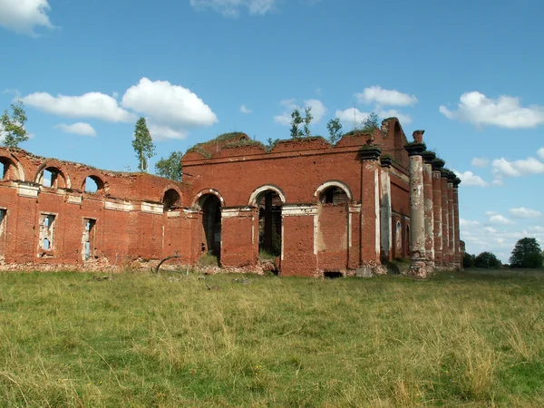 Ruins of XIX century house — Stock Photo, Image