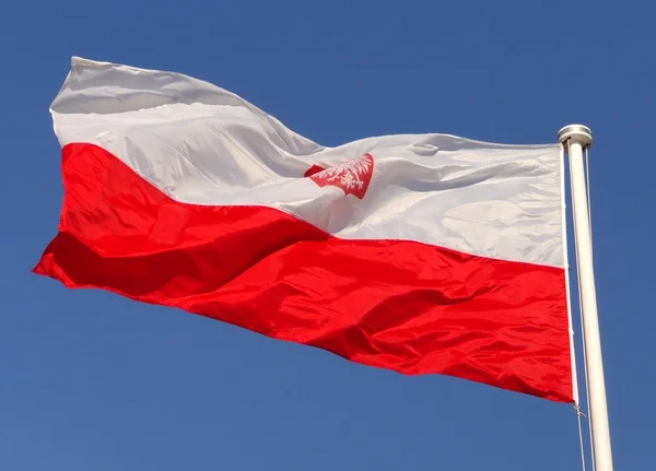 Polská vlajka — Stock fotografie