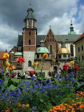 Krakow 'daki Wawel Katedrali