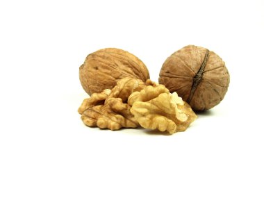 Walnuts clipart