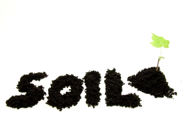 Text soil for concept — Stock Photo, Image
