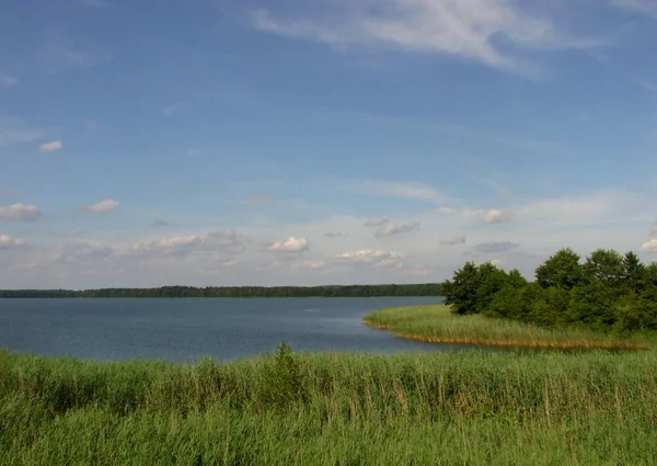 Озеро летом — стоковое фото