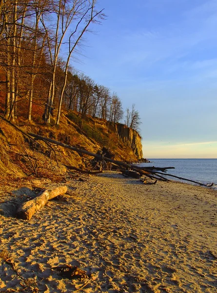 Пляж и скала — стоковое фото