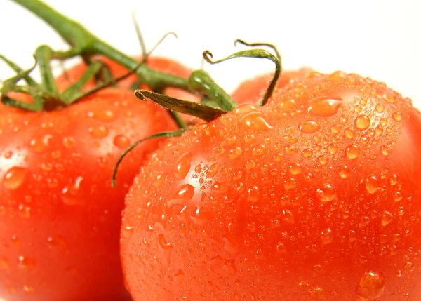 Fresh tomatos — Stock Photo, Image