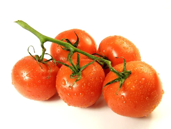 Tomatos vine — Stock Photo, Image