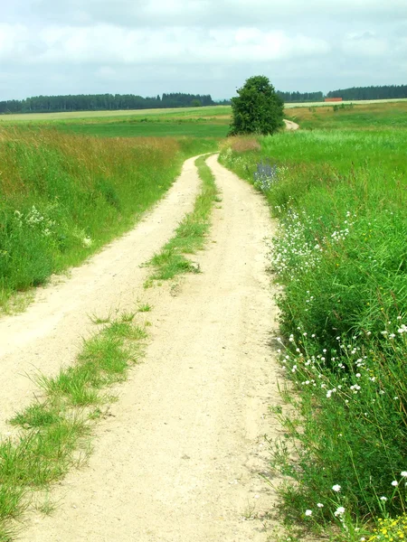 Estrada e campos — Fotografia de Stock