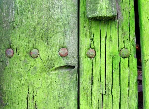 Régi, fából készült ajtók — Stock Fotó