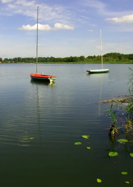 Озеро з вітрильними човнами — стокове фото