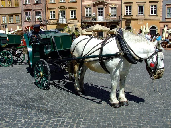 stock image Carriage in Warsaw Old Town, Poland