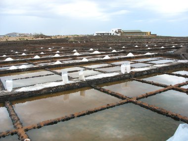 Salinas içinde fuerteventura