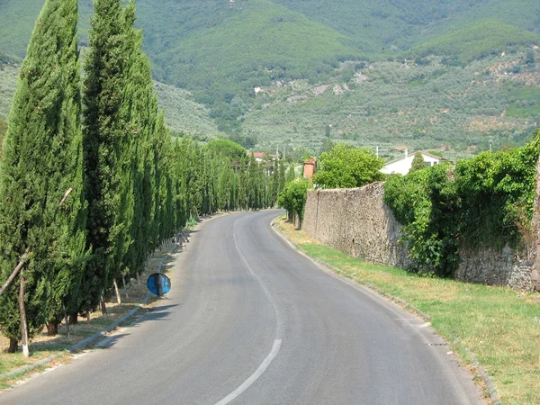 Carretera de campo en Toscana Fotos de stock libres de derechos