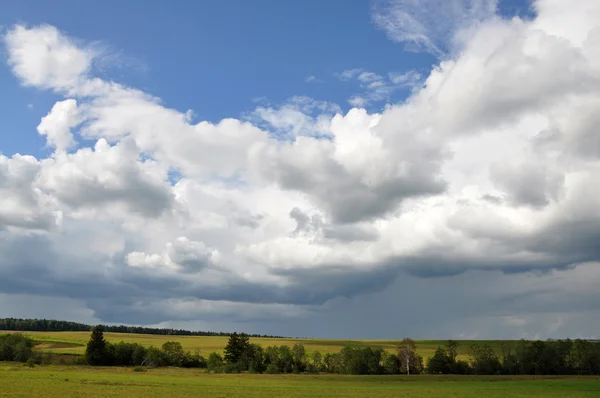 stock image Nature