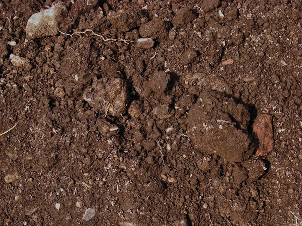 El suelo desenterrado — Foto de Stock