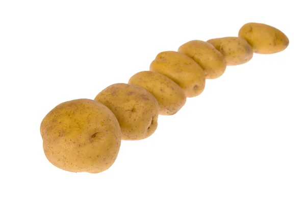 Aardappelen geïsoleerd op witte achtergrond — Stockfoto