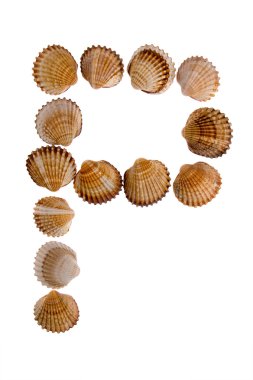 Isolated shell letter P clipart