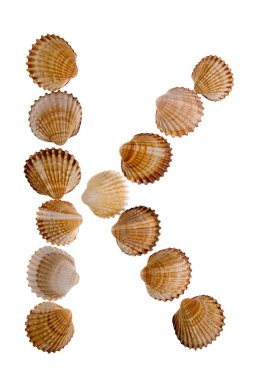 Isolated shell letter K clipart