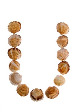 Isolated shell letter U clipart