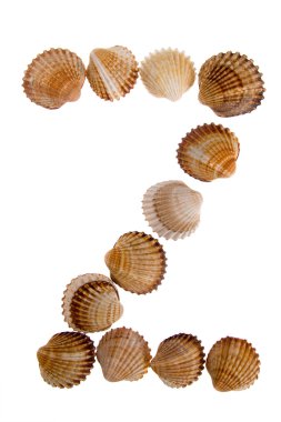 Isolated shell letter Z clipart