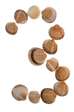 Isolated shell digit, figure clipart