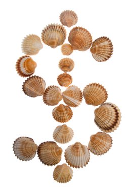 Isolated shell letter $ clipart