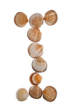 Isolated shell letter I clipart