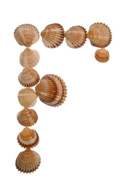 Isolated shell letter F clipart