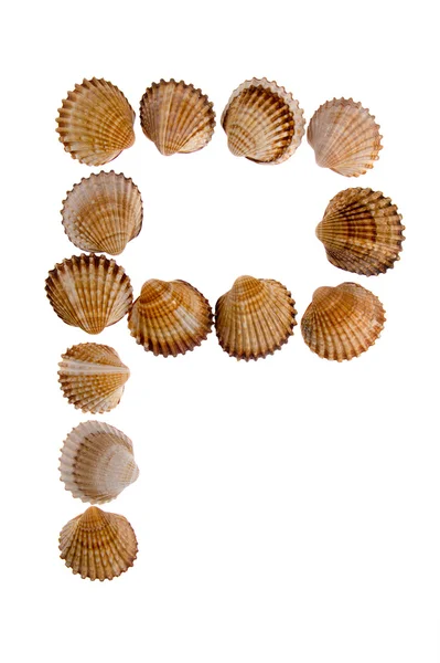 Lettera di shell isolata P — Foto Stock