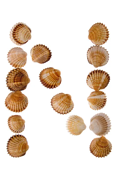 Elszigetelt shell betű n — Stock Fotó