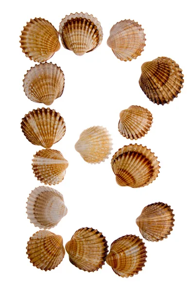 Lettera di shell isolata B — Foto Stock