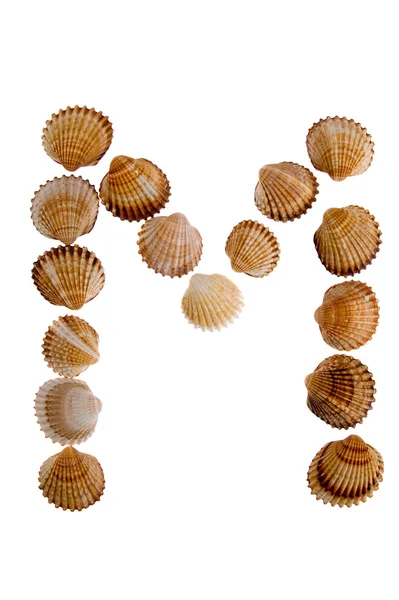 Lettera di shell isolata M — Foto Stock