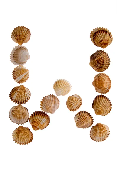 Elszigetelt shell betű w — Stock Fotó