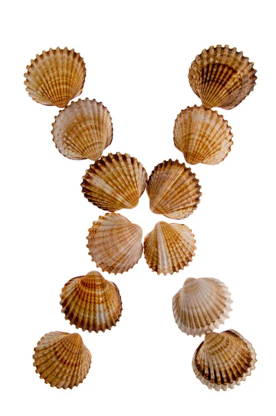Elszigetelt shell betű x — Stock Fotó