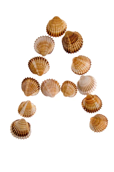 Geïsoleerde shell brief een — Stockfoto