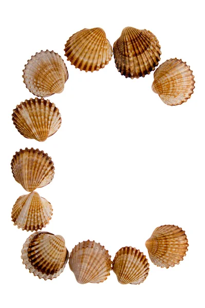 Elszigetelt shell-betű c — Stock Fotó