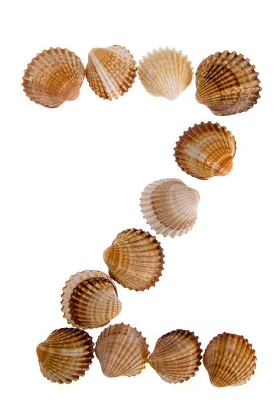 Geïsoleerde shell alfabet z — Stockfoto