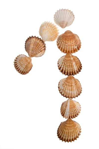Geïsoleerde shell cijfer, figuur — Stockfoto